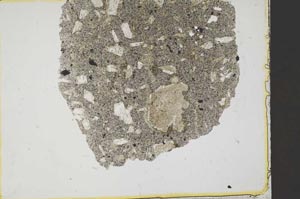 Plane Polarized, S37033