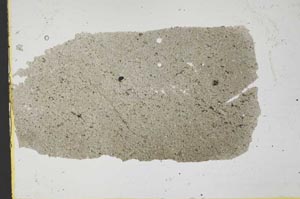 Plane Polarized, S37034