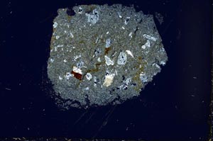 Cross Polarized, S37036