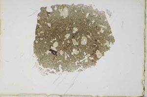 Plane Polarized, S37036