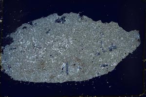 Cross Polarized, S37040