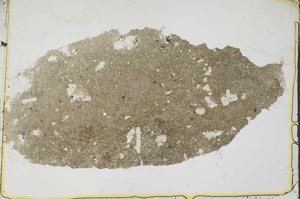 Plane Polarized, S37040