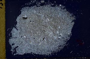 Cross Polarized, S37045