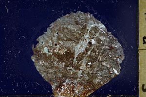 Cross Polarized, S37046