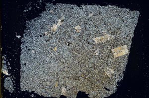 Cross Polarized, S37047