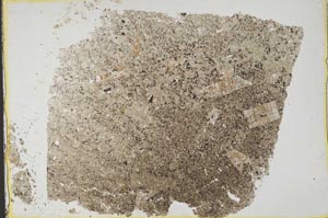 Plane Polarized, S37047