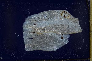 Cross Polarized, S37048