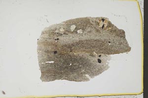 Plane Polarized, S37048