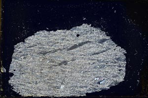 Cross Polarized, S37049