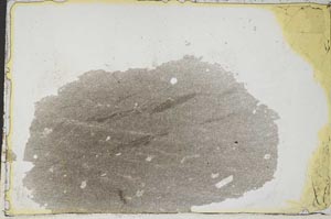 Plane Polarized, S37049