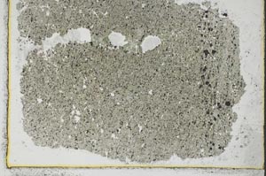 Plane Polarized, S37187