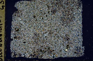 Cross Polarized, S37206