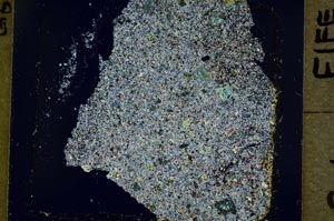 Cross Polarized, S37207