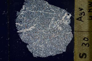 Cross Polarized, S37225