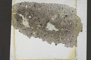 Plane Polarized, S37236