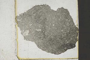 Plane Polarized, S37237
