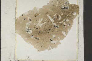 Plane Polarized, S37238