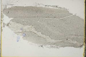 Plane Polarized, S37246