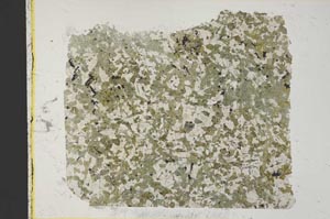 Plane Polarized, S37248