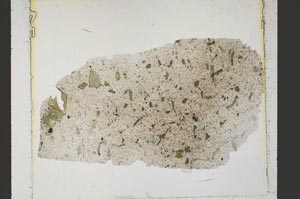 Plane Polarized, S37352