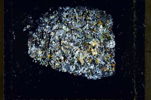 Cross Polarized, S37391