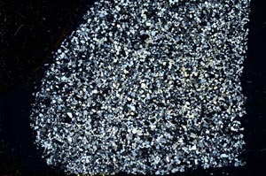 Cross Polarized, S37404