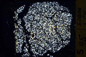 Cross Polarized, S37405