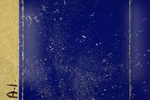 Cross Polarized, S37405/A