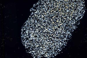 Cross Polarized, S37406