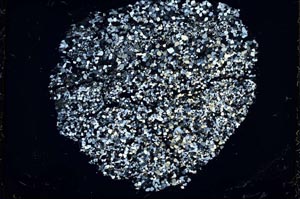 Cross Polarized, S37407