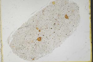 Plane Polarized, S37408