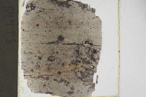 Plane Polarized, S37414