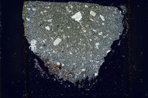 Cross Polarized, S37421