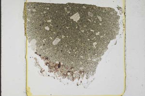 Plane Polarized, S37421