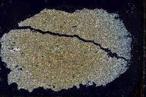 Cross Polarized, S37422