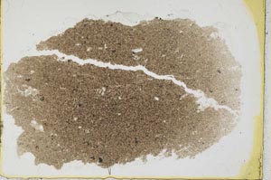 Plane Polarized, S37422