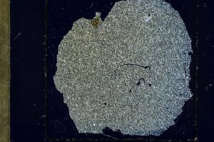 Cross Polarized, S37423