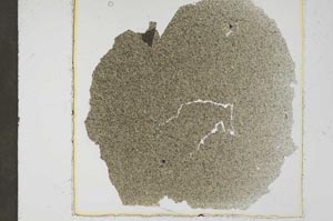 Plane Polarized, S37423