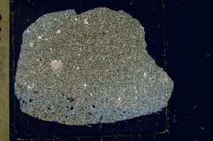 Cross Polarized, S37425