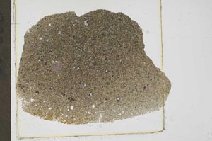 Plane Polarized, S37425