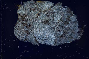 Cross Polarized, S37426