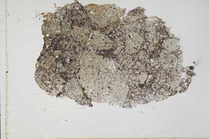 Plane Polarized, S37426