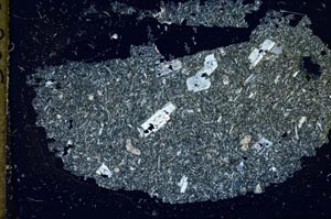 Cross Polarized, S37427