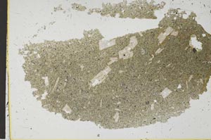 Plane Polarized, S37427