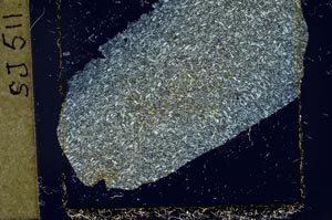 Cross Polarized, S37428