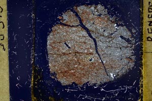 Cross Polarized, S37429