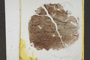 Plane Polarized, S37429