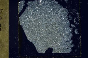 Cross Polarized, S37430