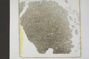 Plane Polarized, S37430