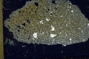 Cross Polarized, S37431